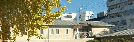 土佐教会公式ホームページ開設
